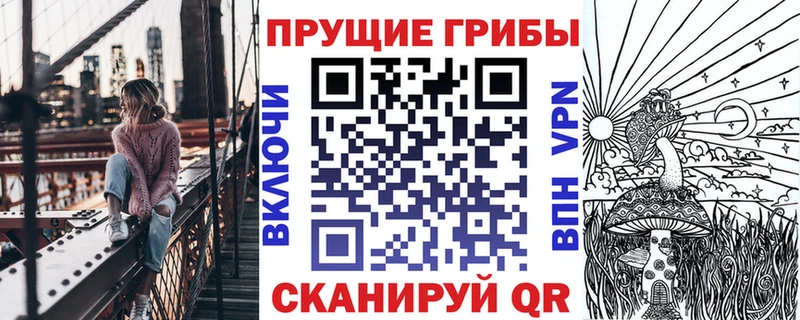 Галлюциногенные грибы Psilocybine cubensis  Железногорск-Илимский 